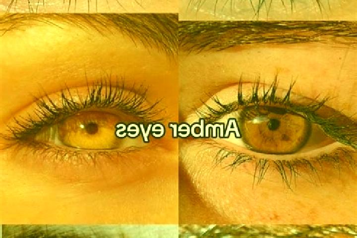 Evelyn, 38, a chestnut amber-eyed middle eastern companion based in Aoshi. Offering Massage, OWO, GFE, Domination, Fetish. Available for incall and outcall, ...