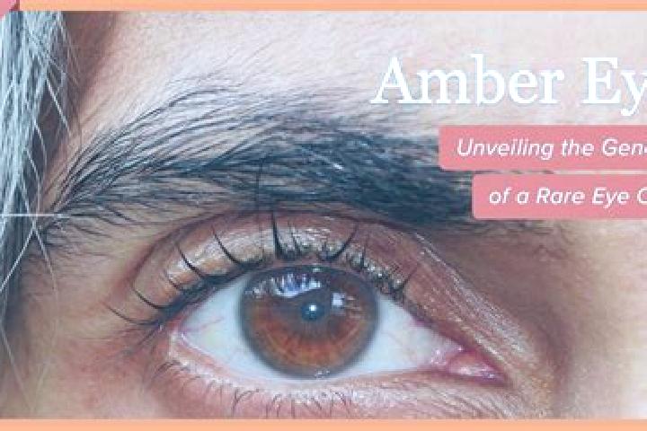 Grace, 20, a red amber-eyed european companion based in Lochapada. Offering Fetish, Roleplay, Tantra, 69. Available for incall and outcall, day and evening d...
