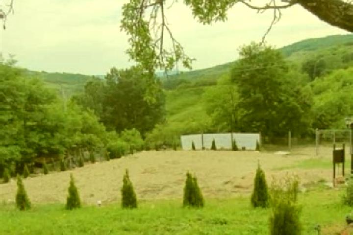 Grace, 20 — Escort in Lunca Banului, Romania