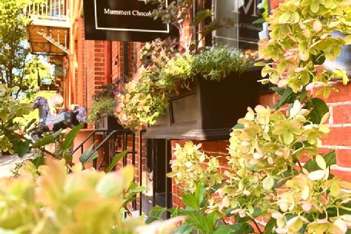 Grace, 21 — Escort in Linglestown, United States