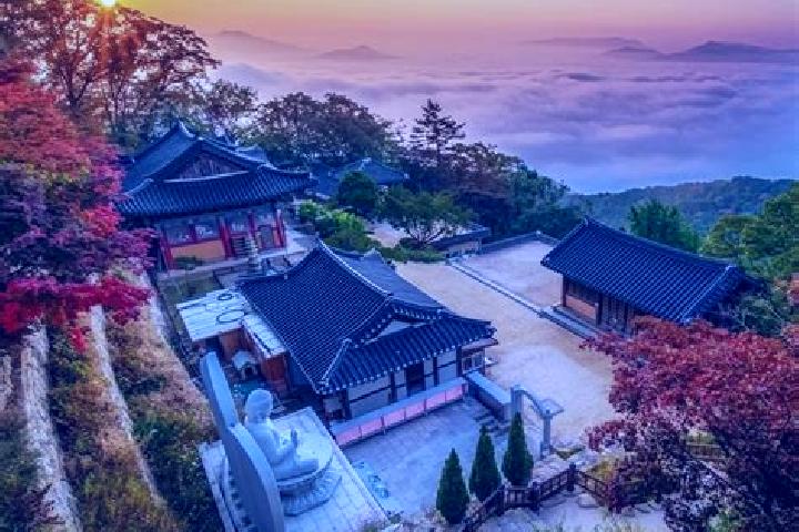 Grace, 21 — Escort in Namyangju, South Korea