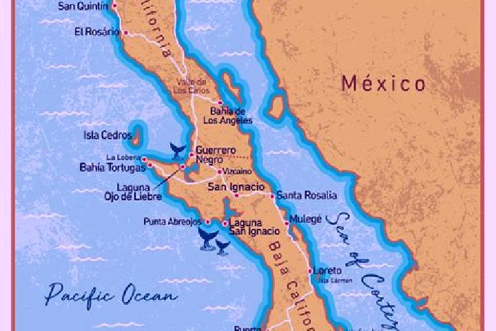 Grace, 22 — Escort in La Peninsula, Mexico
