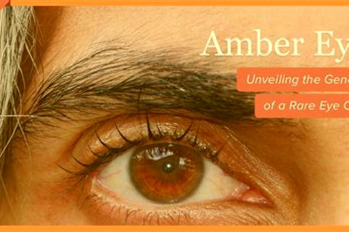 Grace, 26, a black amber-eyed mediterranean companion based in Choisey. Offering CIM, Domination, Travel Companion. Available for incall and outcall, overnig...