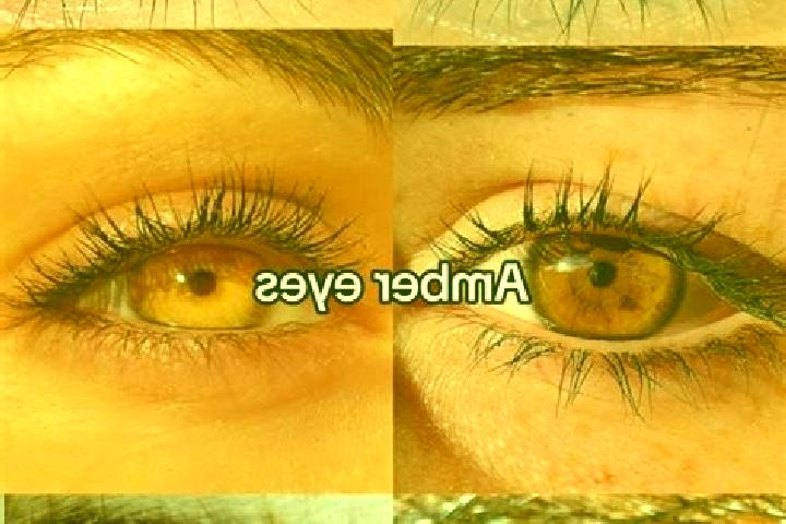 Grace, 28, a chestnut amber-eyed caribbean companion based in Klijndijk. Offering Tantra, Striptease, BDSM, Girlfriend Experience. Available for incall and o...