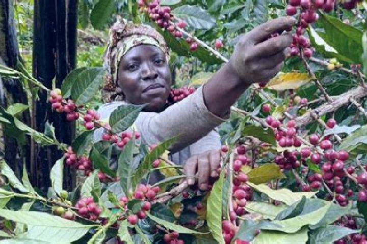 Grace, 28 — Escort in Kyegegwa, Uganda