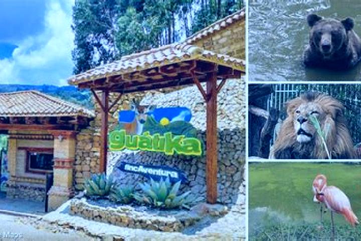 Grace, 31 — Escort in Guatica, Colombia