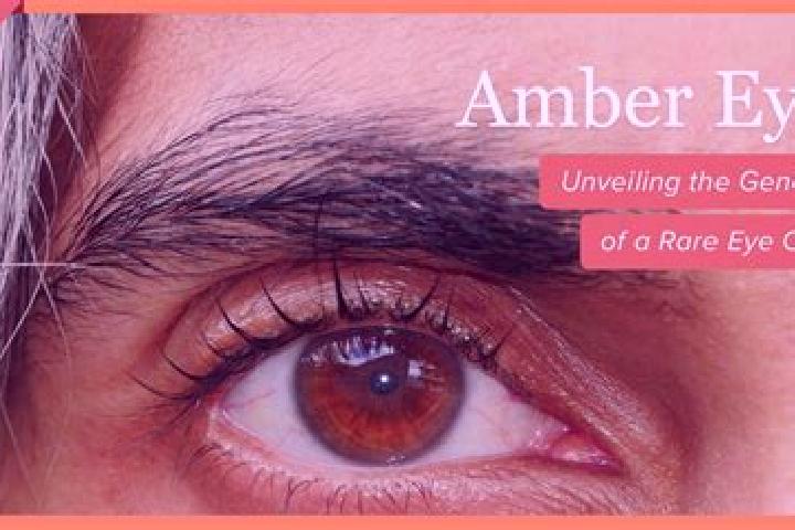 Grace, 32, a black amber-eyed ebony companion based in OEren. Offering A-Level, Tantra, Duos, Couples. Available for incall and outcall, day and evening dates.