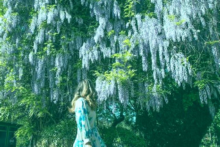 Grace, 32 — Escort in Schitu Poienari, Romania
