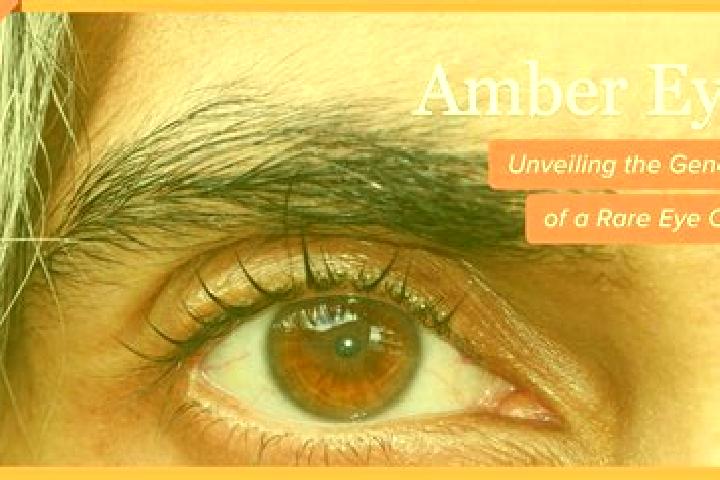 Grace, 33, a red amber-eyed caucasian companion based in Sirgitti. Offering Overnight, BDSM, Duos. Available for incall and outcall, overnight bookings avail...