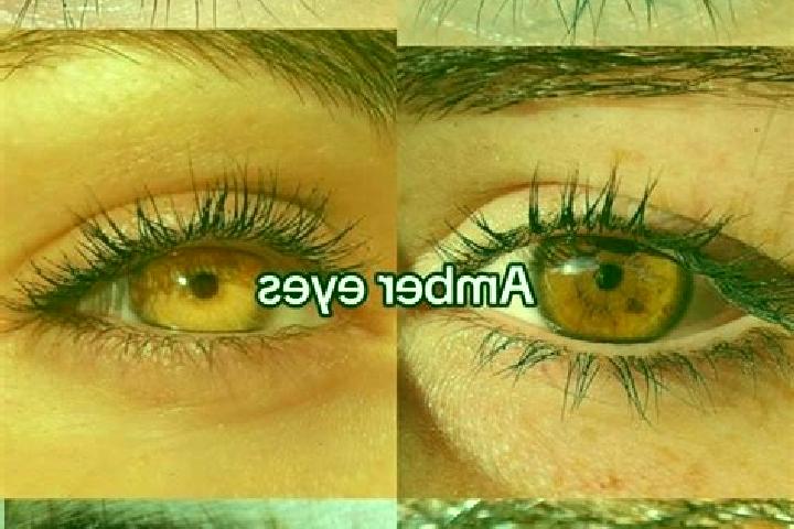 Grace, 35, a chestnut amber-eyed mixed companion based in Khawr Fakkan. Offering GFE, OWO, Girlfriend Experience. Available for incall and outcall, day and e...