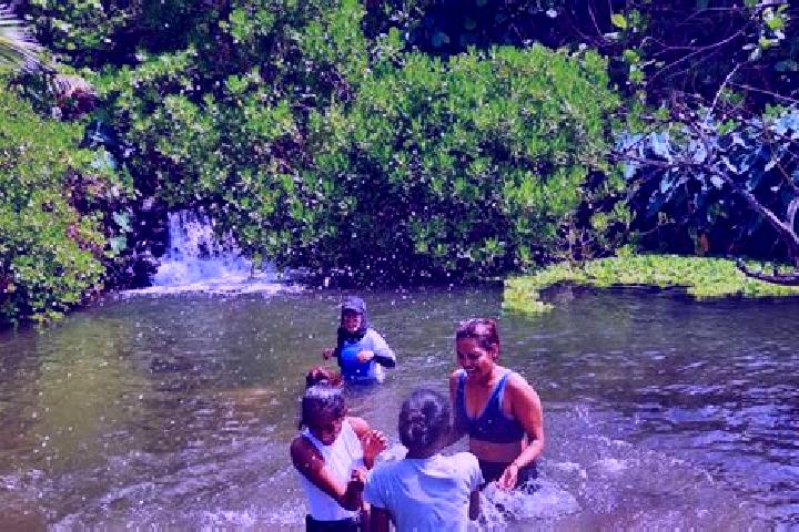 Grace, 35 — Escort in Riviere des Anguilles, Mauritius