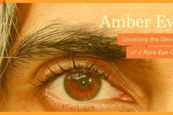 Grace, 36, a red amber-eyed indian companion based in Arica. Offering Party Girl, Fetish, Domination. Available for incall and outcall, overnight bookings av...