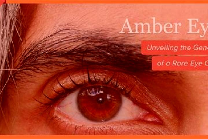 Grace, 37, a red amber-eyed mixed companion based in Rimasco. Offering Domination, Party Girl, OWO, Overnight. Available for incall and outcall, day and even...