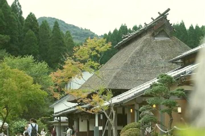 Grace, 39 — Escort in Koishiwara, Japan