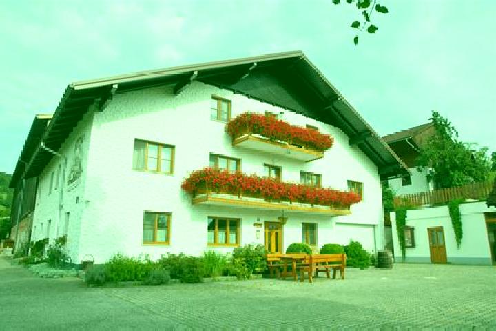 Hannah, 20 — Escort in Frankenfels, Austria