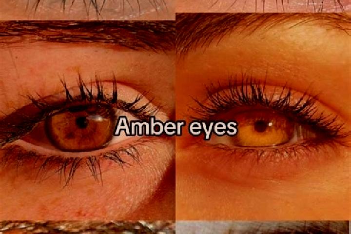 Hannah, 22, a chestnut amber-eyed mixed companion based in Lower Plenty. Offering Fetish, Dinner Date, Duos. Available for incall and outcall, day and evenin...