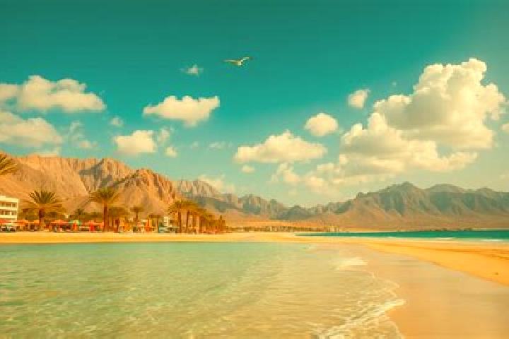 Hannah, 25, a red blue-eyed caribbean companion based in Dibba Al-Fujairah. Offering CIM, A-Level, GFE, 69. Available for incall and outcall, day and evening...