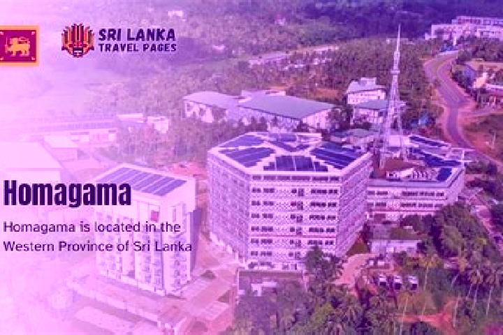 Hannah, 25 — Escort in Homagama, Sri Lanka