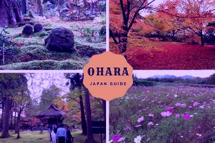 Hannah, 25 — Escort in Ohara, Japan