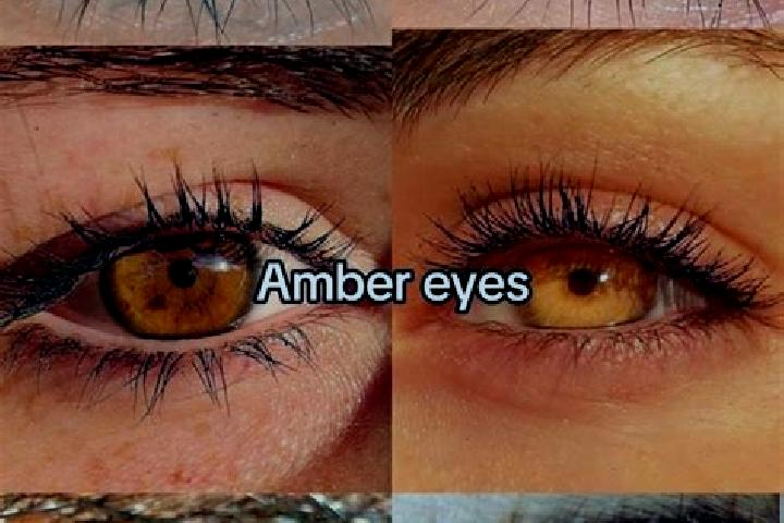 Hannah, 28, a chestnut amber-eyed mixed companion based in Nikolo. Offering Dinner Date, Overnight, Travel Companion. Available for incall and outcall, overn...