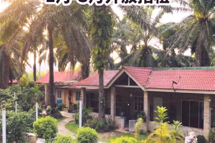 Hannah, 28 — Escort in Gopeng, Malaysia