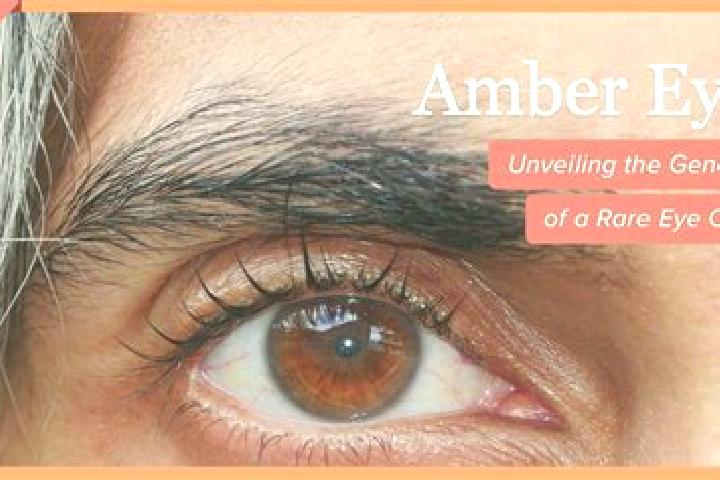 Hannah, 29, a black amber-eyed european companion based in Monte Carasso. Offering Couples, Duos, Domination. Available for incall and outcall, day and eveni...