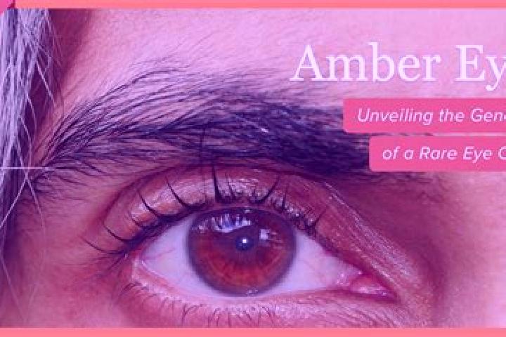 Hannah, 29, a red amber-eyed ebony companion based in Cerrillos (Campo 35). Offering Domination, Massage, Overnight, Fetish. Available for incall and outcall...