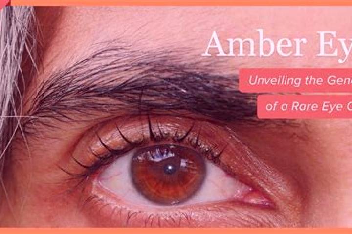 Hannah, 30, a red amber-eyed mixed companion based in Orillia. Offering OWO, Prostate Massage. Available for incall and outcall, overnight bookings available.