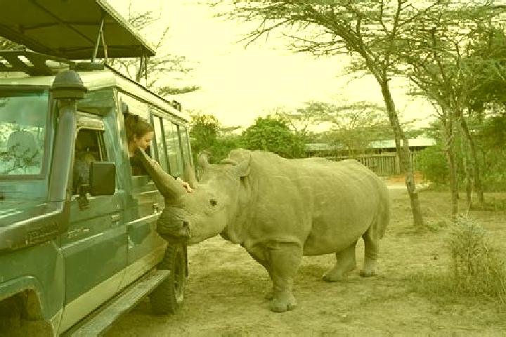 Hannah, 30 — Escort in Mweiga, Kenya