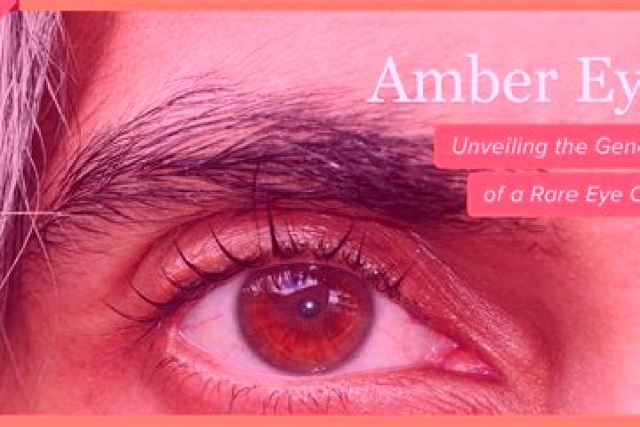 Hannah, 31, a red amber-eyed mixed companion based in Fingig. Offering OWO, CIM, Girlfriend Experience. Available for incall and outcall, overnight bookings ...