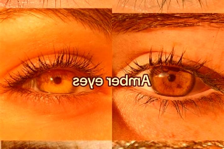 Hannah, 34, a chestnut amber-eyed middle eastern companion based in Ira. Offering Girlfriend Experience, Massage, Party Girl. Available for incall and outcal...