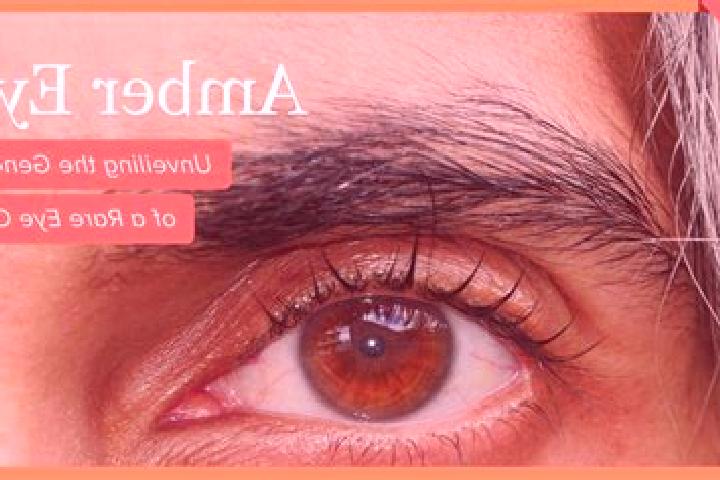 Hannah, 35, a red amber-eyed ebony companion based in Irituia. Offering Fetish, BDSM, Massage, Erotic Massage. Available for incall and outcall, day and even...