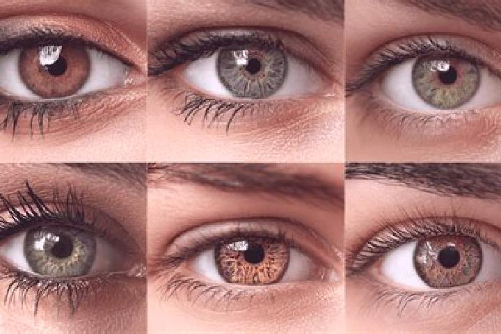 Hannah, 35, a red hazel-eyed caucasian companion based in Miyajuku. Offering Tantra, Dinner Date, Roleplay. Available for incall and outcall, day and evening...