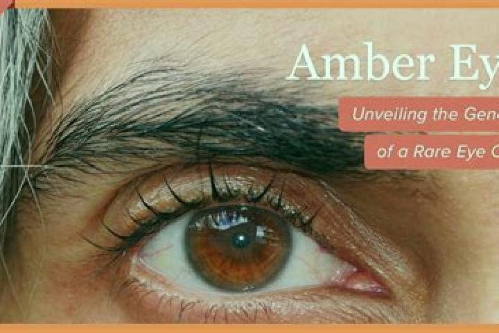 Hannah, 39, a red amber-eyed mixed companion based in Coutevroult. Offering Domination, A-Level. Available for incall and outcall, day and evening dates.