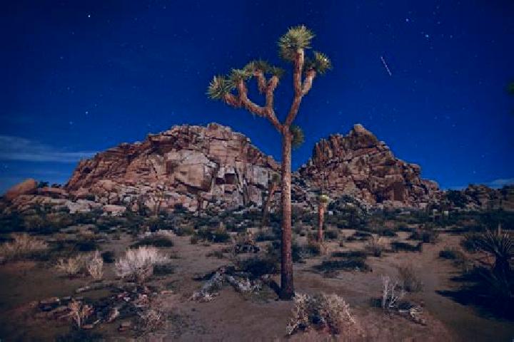 Hannah, 39 — Escort in Joshua Tree, United States