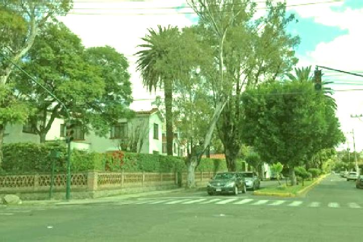 Harper, 20 — Escort in Colonia Anahuac (Palo Blanco), Mexico
