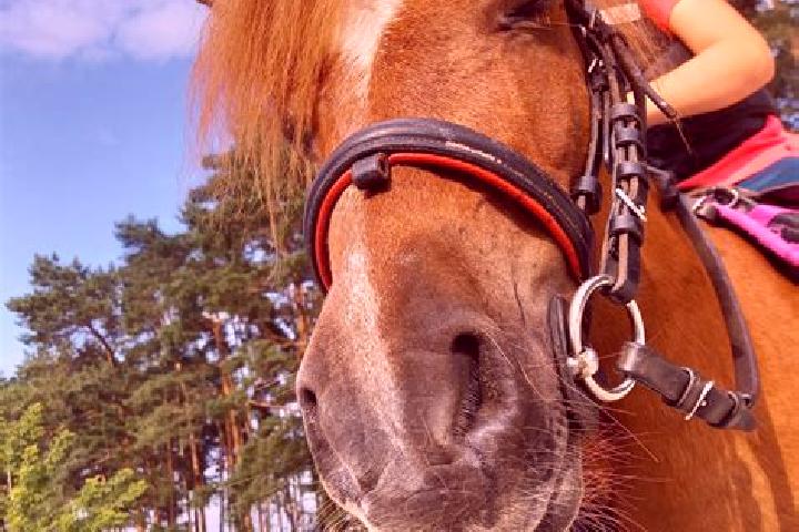 Harper, 20 — Escort in Rogalin, Poland