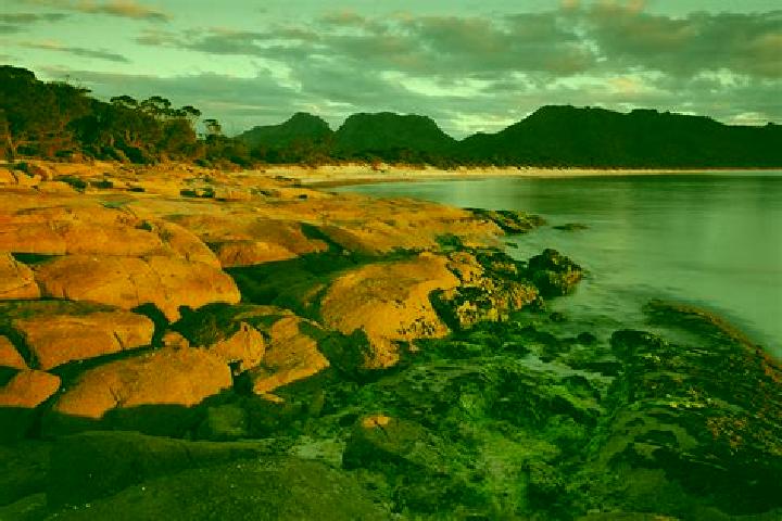 Harper, 20 — Escort in Stieglitz, Australia