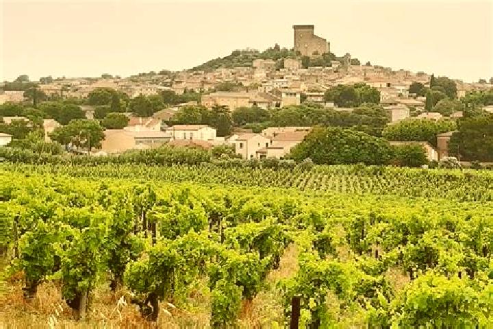 Harper, 21 — Escort in Chateauneuf-du-Pape, France