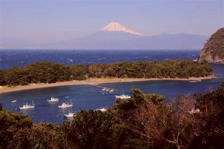 Harper, 21 — Escort in Heda, Japan