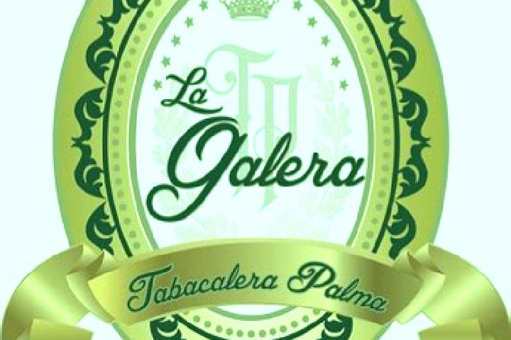 Harper, 22 — Escort in Barrio la Galera (La Galera), Mexico