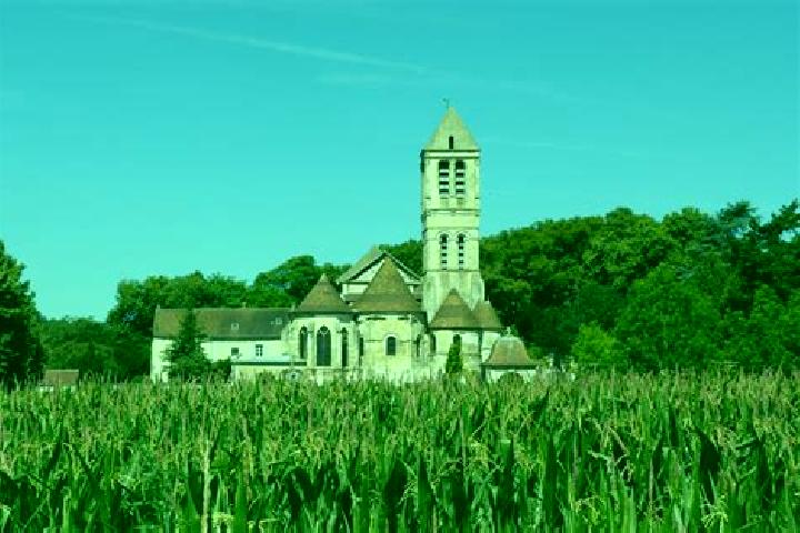 Harper, 22 — Escort in Coye-la-Foret, France