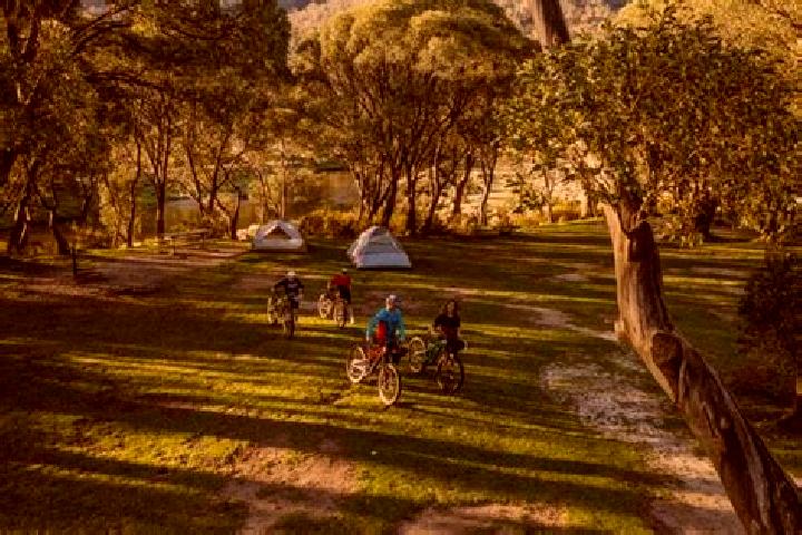 Harper, 22 — Escort in Hill Top, Australia