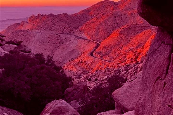 Harper, 22 — Escort in La Rumorosa, Mexico