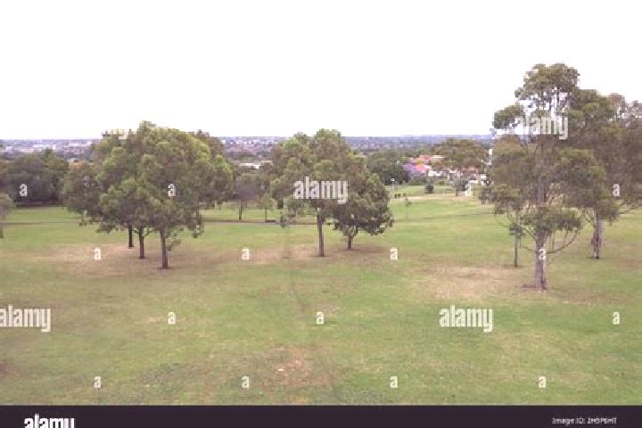 Harper, 23 — Escort in Ashbury, Australia