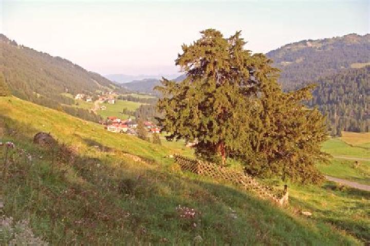 Harper, 23 — Escort in Balderschwang, Germany