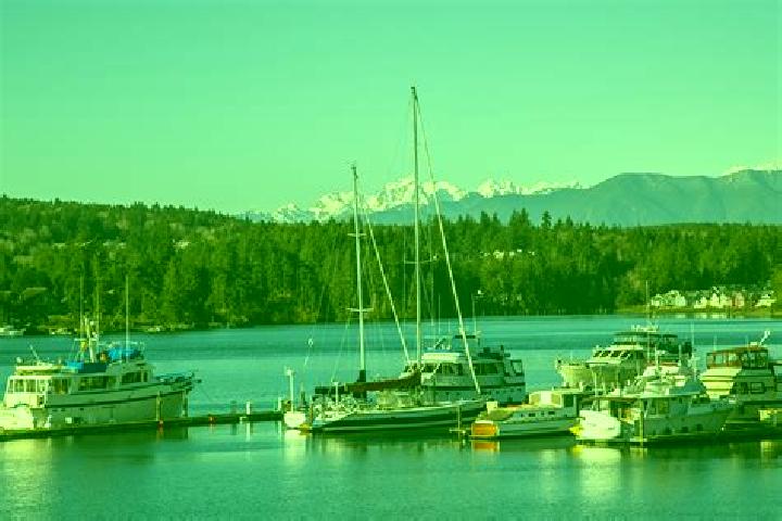 Harper, 24 — Escort in Port Ludlow, United States