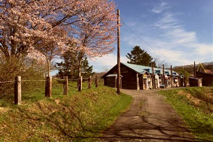 Harper, 24 — Escort in Shibecha, Japan