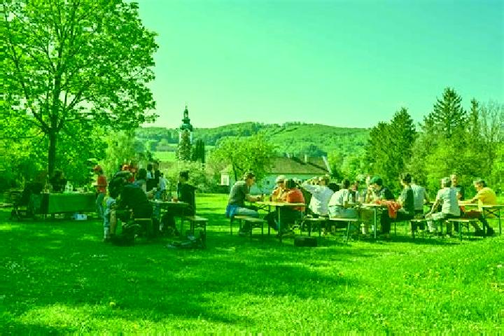 Harper, 25 — Escort in Laab im Walde, Austria