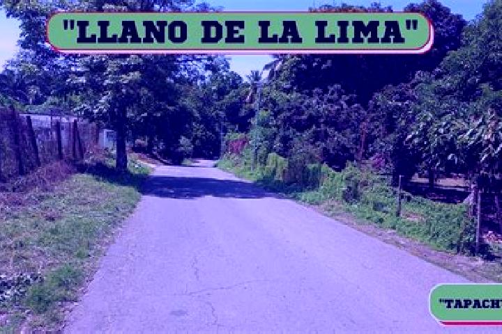 Harper, 26 — Escort in Llano de la Lima, Mexico